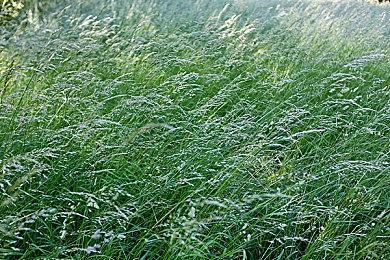 传闻：《F1 2023》将于6月16日发售